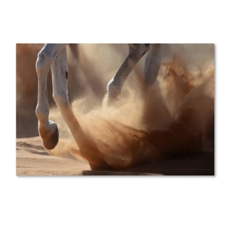 Kadir Civici 'Oman Desert' Canvas Art,12x19